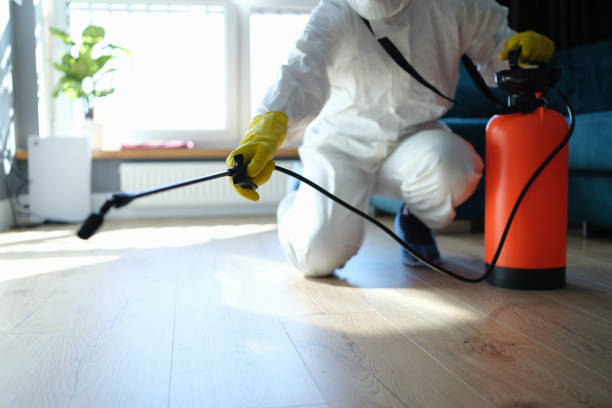 Reliable Infectious Disease Decontamination contractor in Badger, CA by Crime Scene Cleaner Online